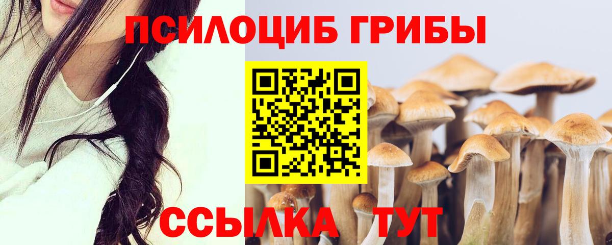 МЕФ Калач-на-Дону